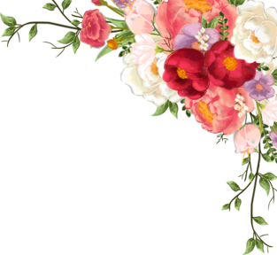 Imagen de una flor